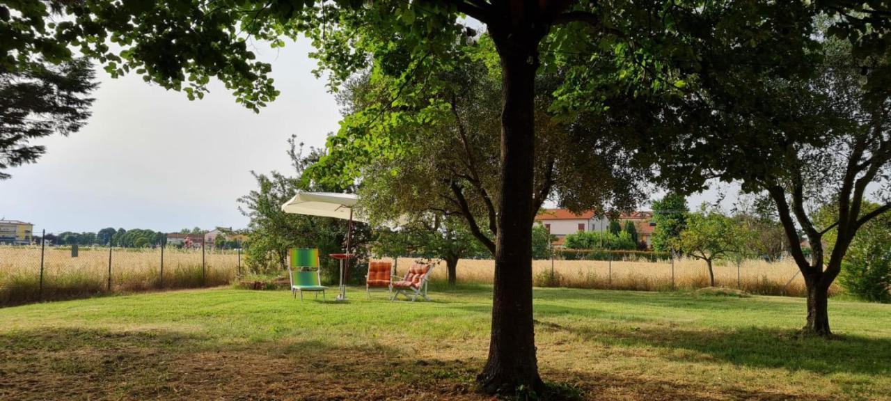 Chez Barnie Favoloso Appartamento Privato In Villa A 800Mt Ingresso Fiera רימיני מראה חיצוני תמונה