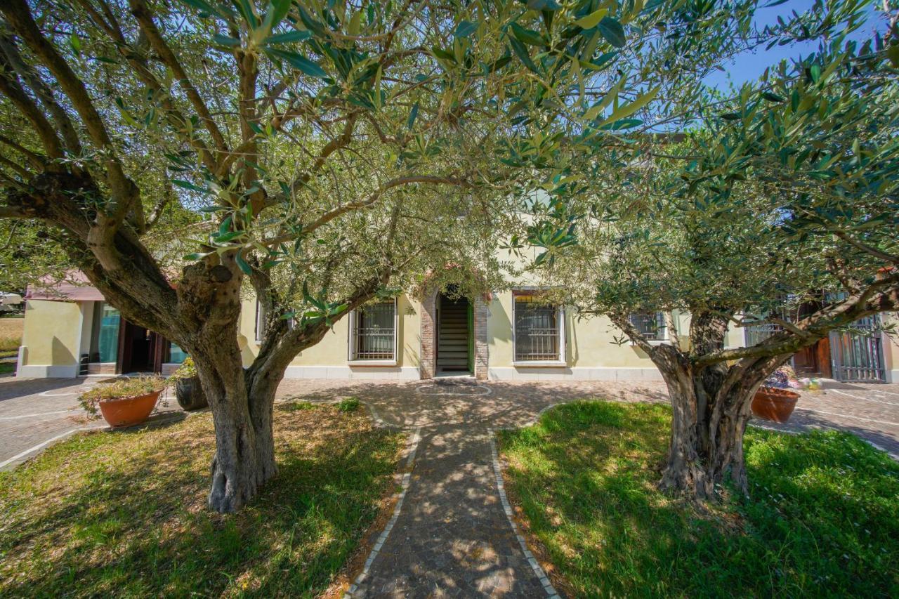 Chez Barnie Favoloso Appartamento Privato In Villa A 800Mt Ingresso Fiera רימיני מראה חיצוני תמונה