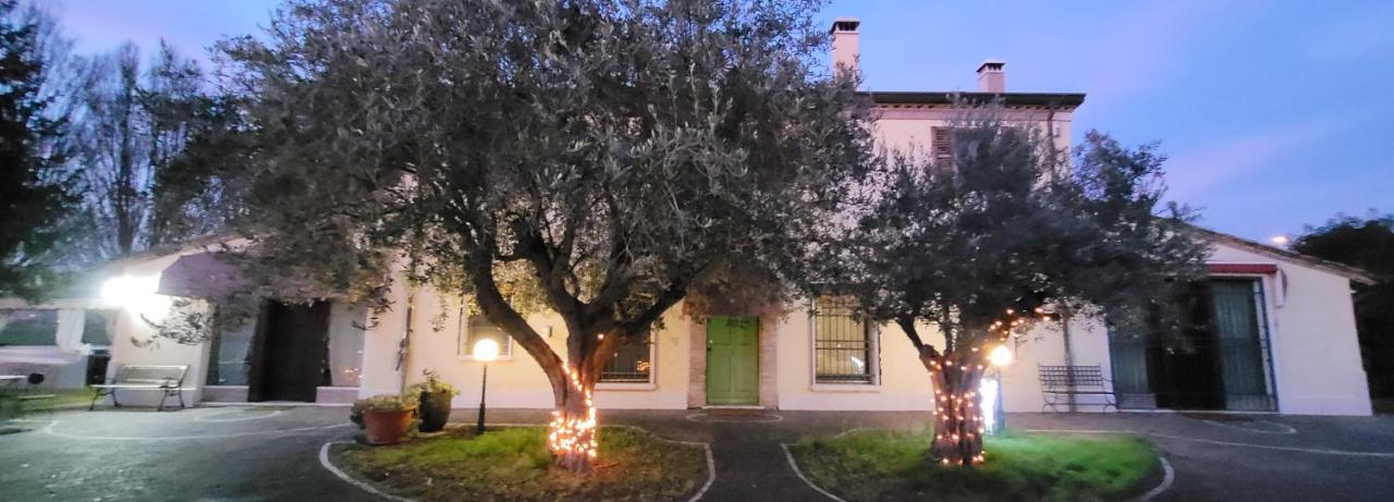 Chez Barnie Favoloso Appartamento Privato In Villa A 800Mt Ingresso Fiera רימיני מראה חיצוני תמונה